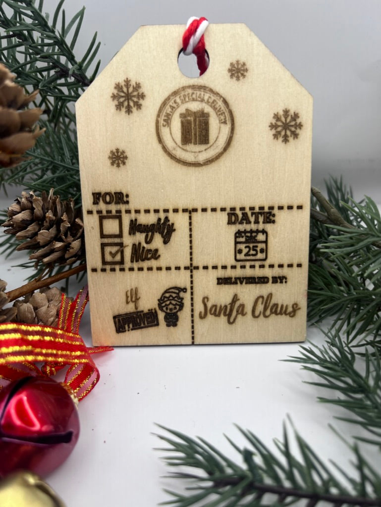 Santa's Special Delivery